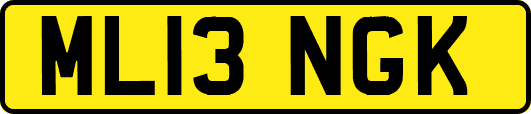 ML13NGK