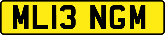 ML13NGM