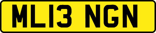 ML13NGN
