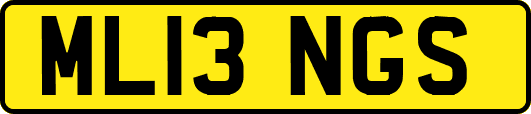 ML13NGS