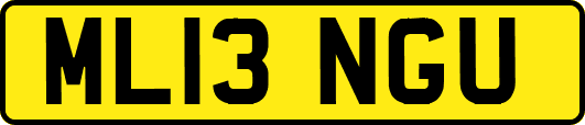 ML13NGU
