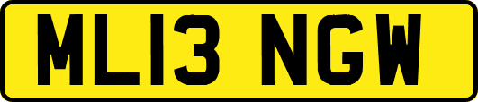 ML13NGW