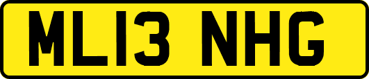 ML13NHG