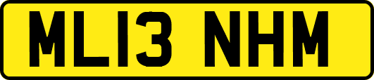 ML13NHM