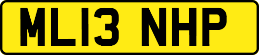 ML13NHP