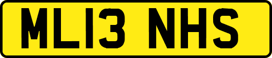 ML13NHS