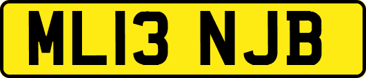ML13NJB