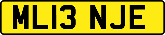 ML13NJE