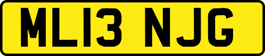 ML13NJG