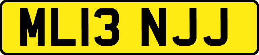 ML13NJJ