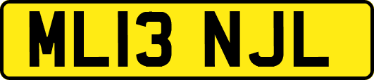 ML13NJL