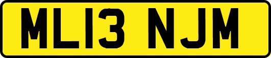 ML13NJM
