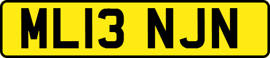 ML13NJN