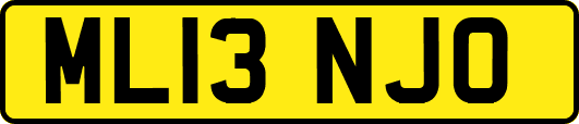 ML13NJO
