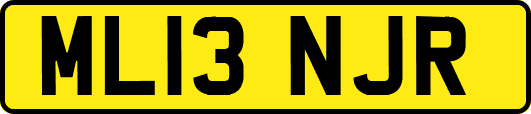 ML13NJR