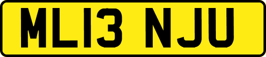 ML13NJU