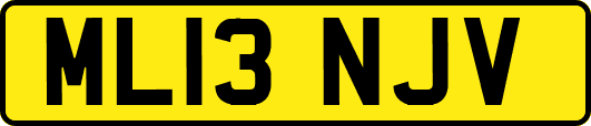 ML13NJV