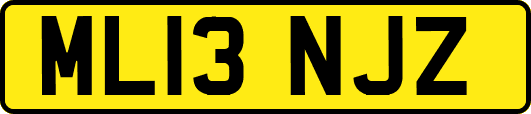 ML13NJZ
