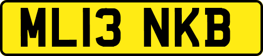 ML13NKB