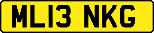 ML13NKG