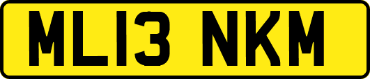 ML13NKM