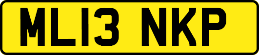 ML13NKP