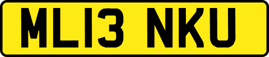 ML13NKU