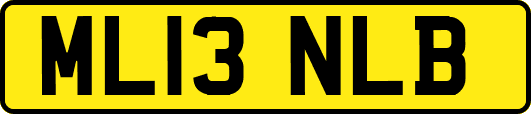 ML13NLB