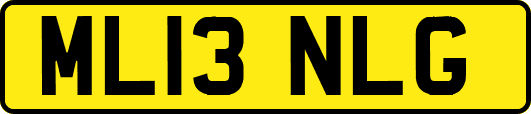 ML13NLG