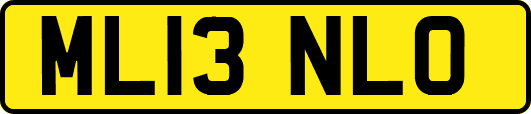 ML13NLO