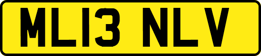 ML13NLV