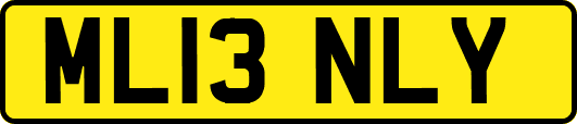 ML13NLY