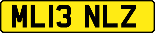 ML13NLZ