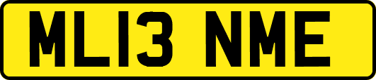ML13NME