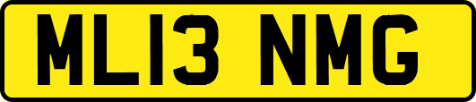 ML13NMG