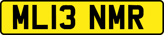 ML13NMR