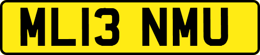 ML13NMU