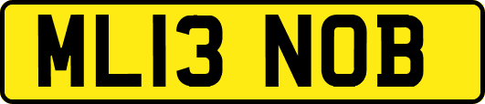 ML13NOB