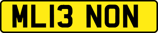 ML13NON