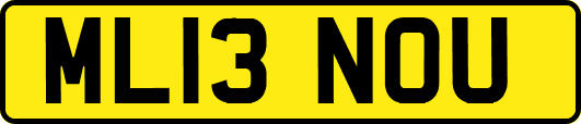 ML13NOU