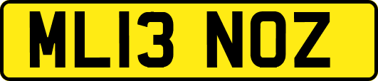 ML13NOZ