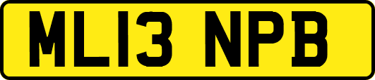 ML13NPB