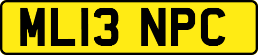 ML13NPC