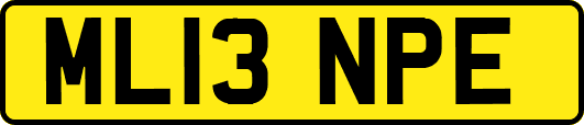 ML13NPE