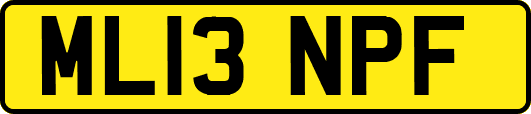 ML13NPF