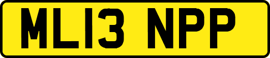 ML13NPP
