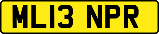ML13NPR