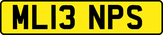 ML13NPS