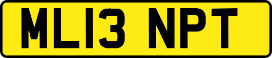 ML13NPT