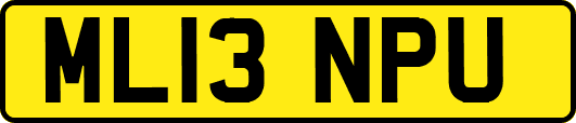 ML13NPU